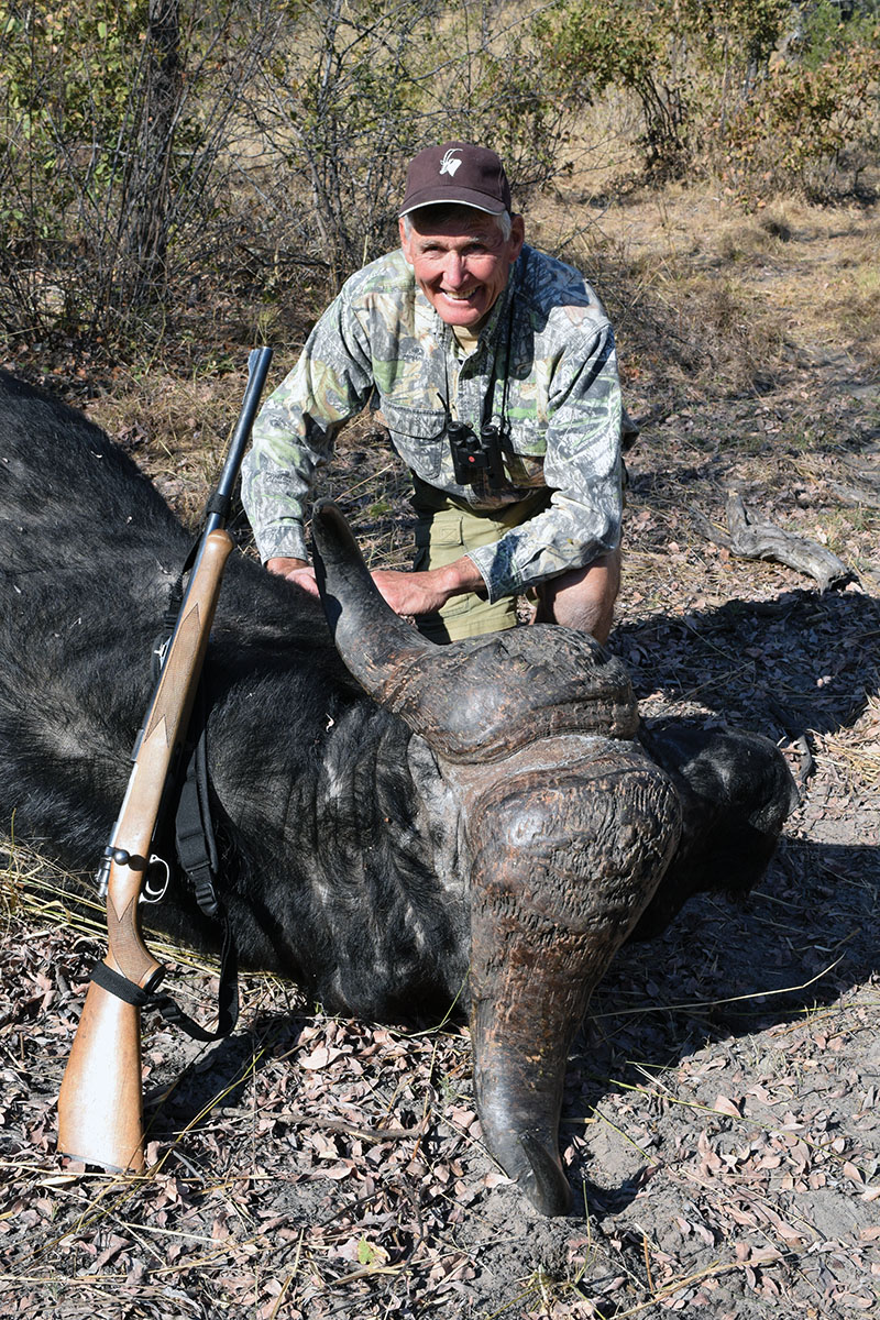 Wayne’s first 9.3x62 softnose landed well, but this bull whirled on three legs. The Mauser bolt worked fast to follow with two solids. No need – or time – to check its function.